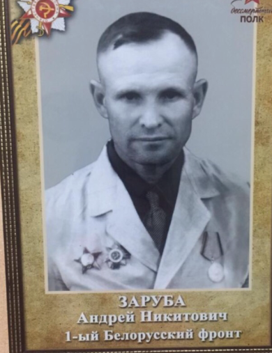 Заруба Андрей Никитович