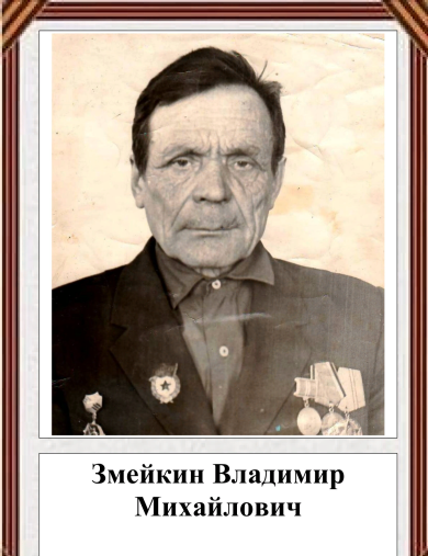 Змейкин Владимир Михайлович
