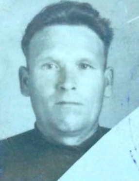 Васенин Михаил Иванович