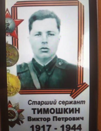 Тимошкин Виктор Петрович