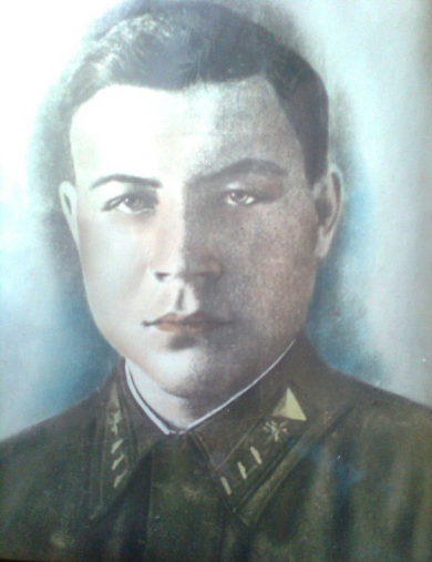 Гой Александр Михайлович