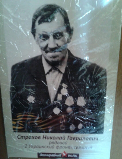 Страхов Николай Гаврилович