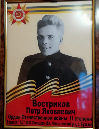 Востриков Петр Яковлевич