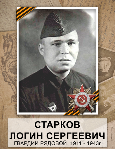 Старков Логин Сергеевич