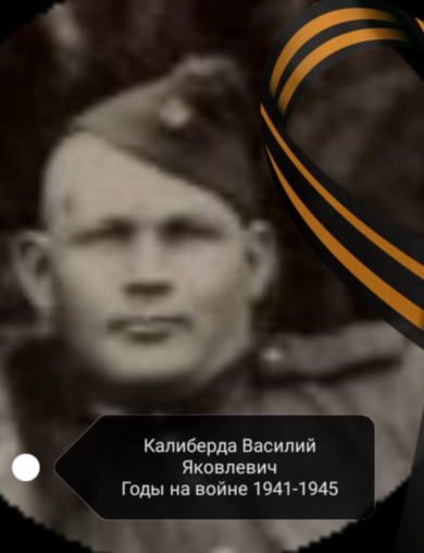 Калиберда Василий Яковлевич