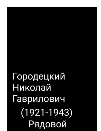 Городецкий Николай Гаврилович