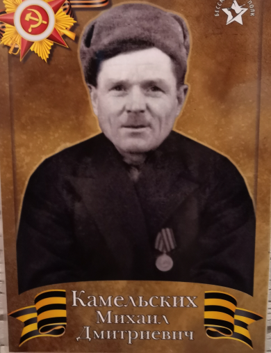 Камельских Михаил Дмитриевич