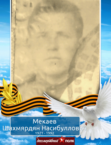 Микаев Шахмярдян Насибуллович