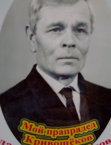 Кривощеков Владимир Михайлович