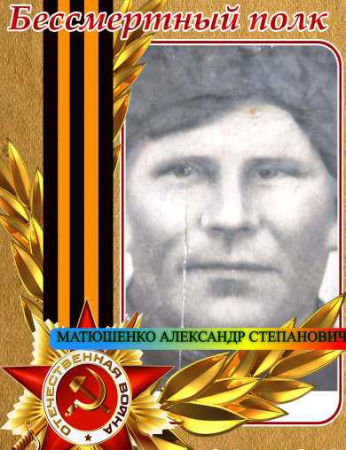 Матюшенко Александр Степанович