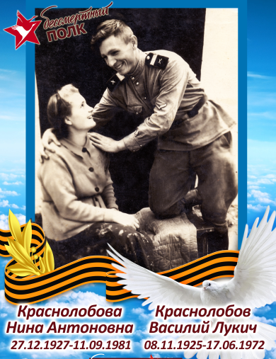 Краснолобов Василий Лукич