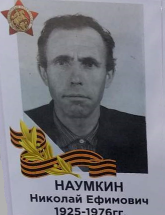 Наумкин Николай Ефимович