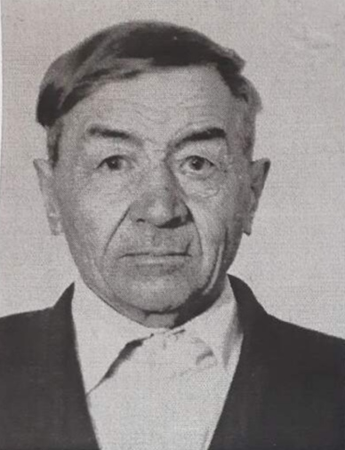 Лузин Василий Дмитриевич