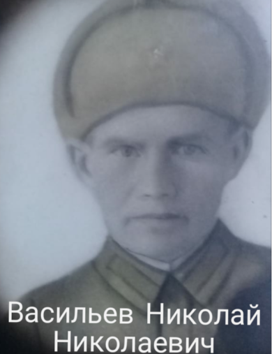 Васильев Николай Николаевич