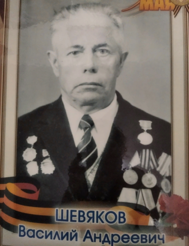 Шевяков Василий Андреевич