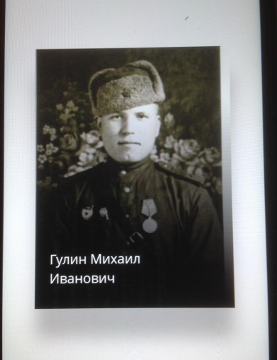 Гулин Михаил Иванович