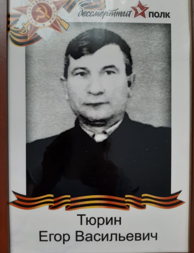 Тюрин Егор Васильевич
