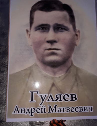 Гуляев Андрей Матвеевич
