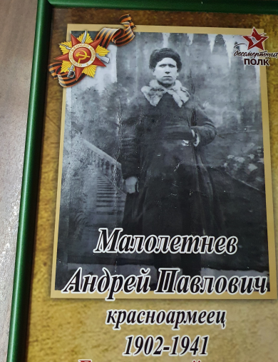 Малолетнев Андрей Павлович