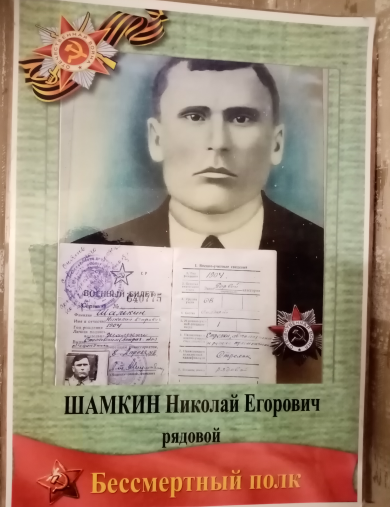 Шимкин Николай Егорович
