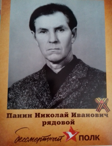 Панин Николай Иванович