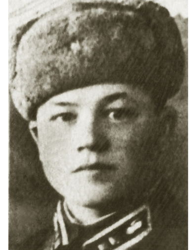 Гришин Дмитрий Васильевич