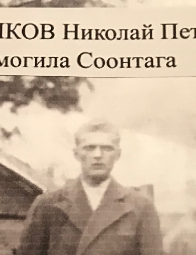 Либиков Николай Петрович