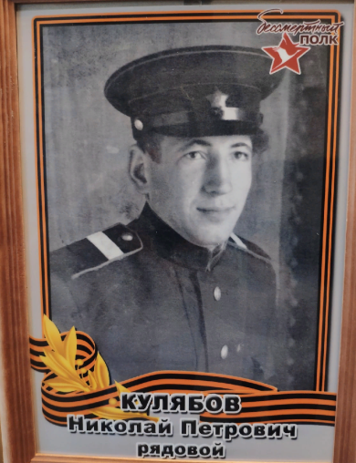 Кулябов Николай Петрович