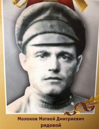Молоков Матвей