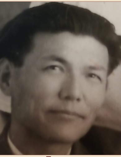 Топоев Николай Николаевич