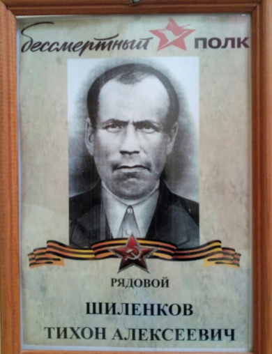 Шиленков Тихон Алексеевич
