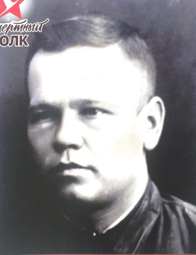 Шаталин Николай Павлович