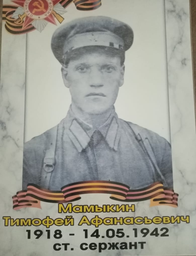 Мамыкин Тимофей Афанасьевич