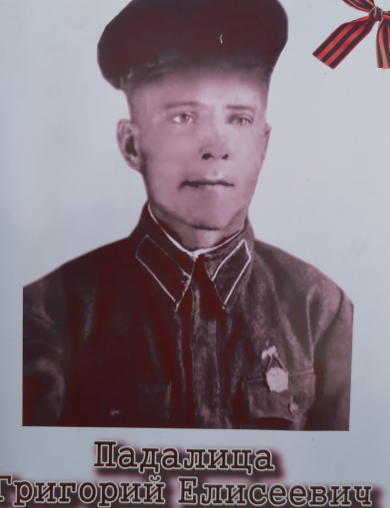 Падалица Григорий Елисеевич