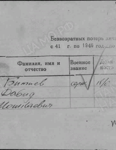 Битиев Давид Мошкаевич