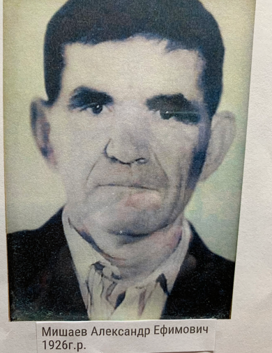 Мишаев Александр Ефимович