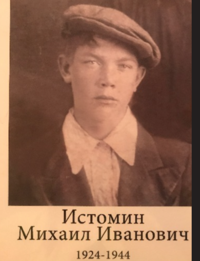 Истомин Михаил Иванович