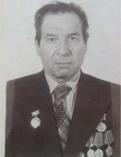 ПУРГИН ИВАН СТЕПАНОВИЧ