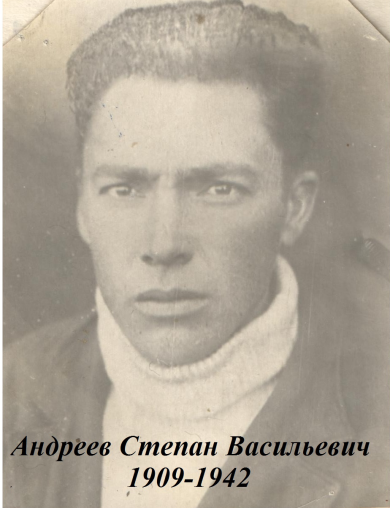 Андреев Степан Васильевич