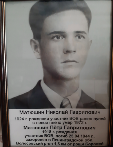 Матюшин Николай Гаврилович