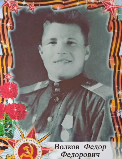 Волков Федор Федорович