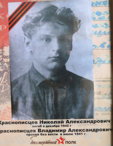 Краснописцев Николай Александрович