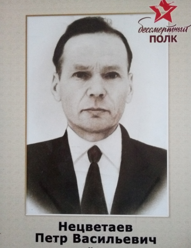 Нецветаев Пётр Васильевич