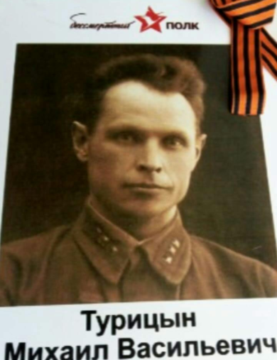 Турицын Михаил Васильевич