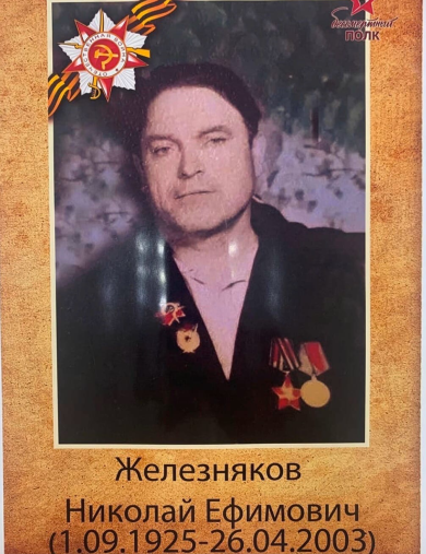 Железняков Николай Ефимович