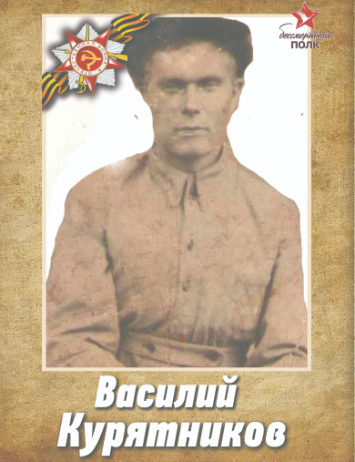 Курятников Василий 