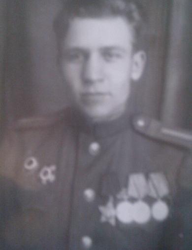 Мишин Василий Степанович