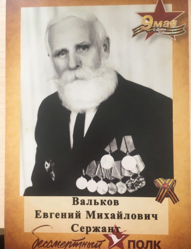 Вальков Евгений Михайлович