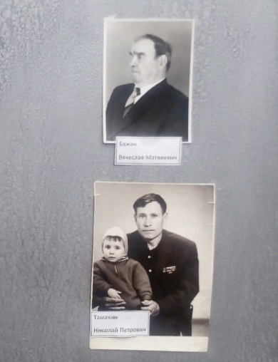 Бажан Вячеслав Матвеевич