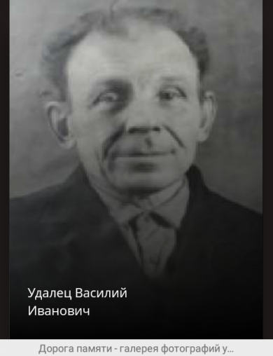 Удалец Василий Иванович